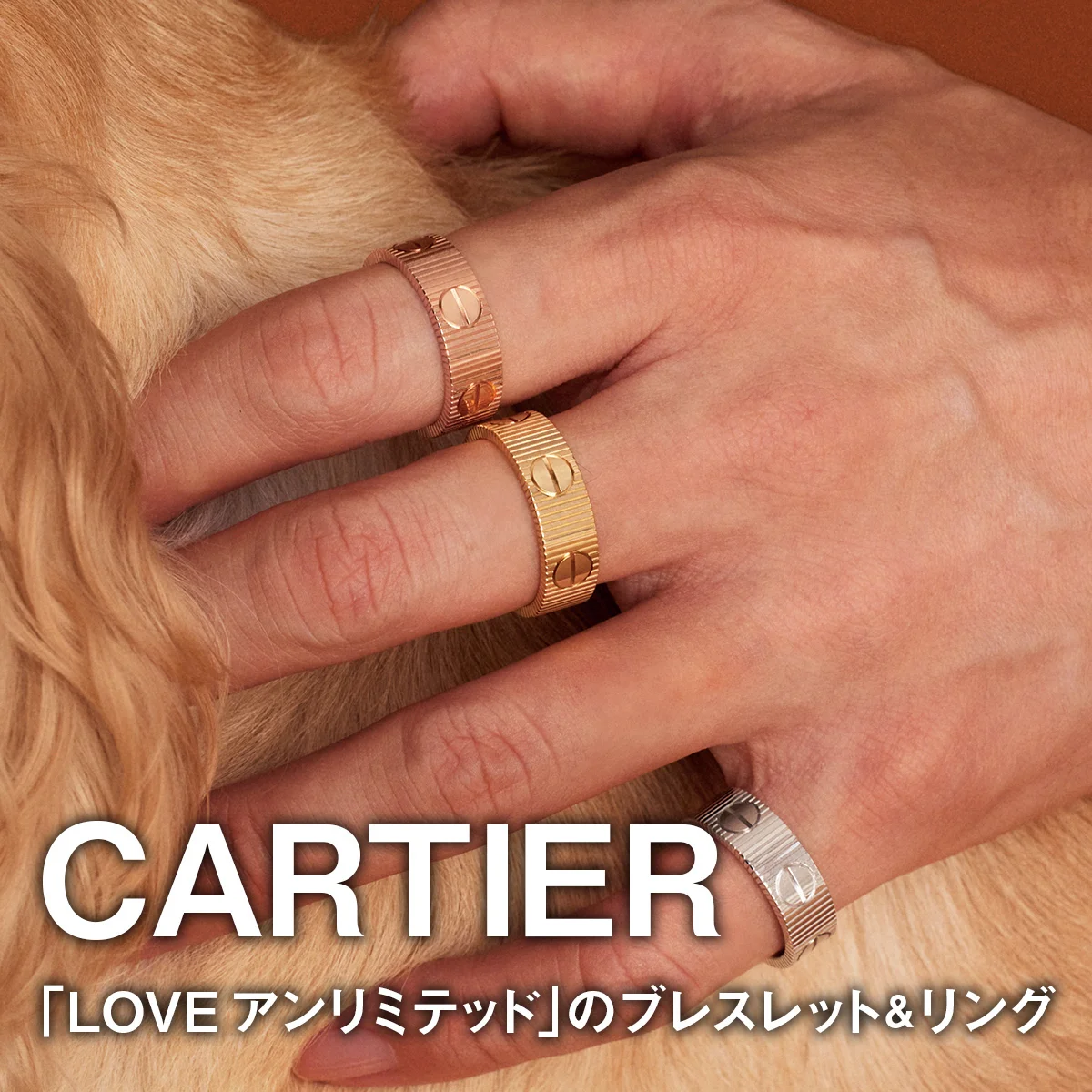 【カルティエ】あたらしい「愛」のカタチ。「LOVE アンリミテッド」のブレスレット&リング