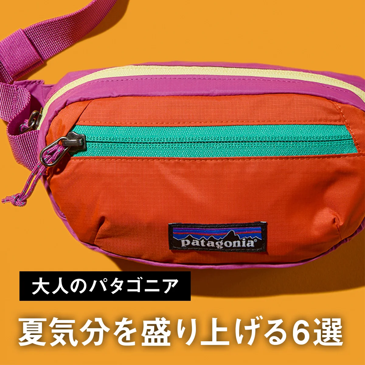 【大人のパタゴニア】夏気分を盛り上げる6選。名品ミニバッグのカラフルな新色やナチュラル素材の快適ウェアに注目