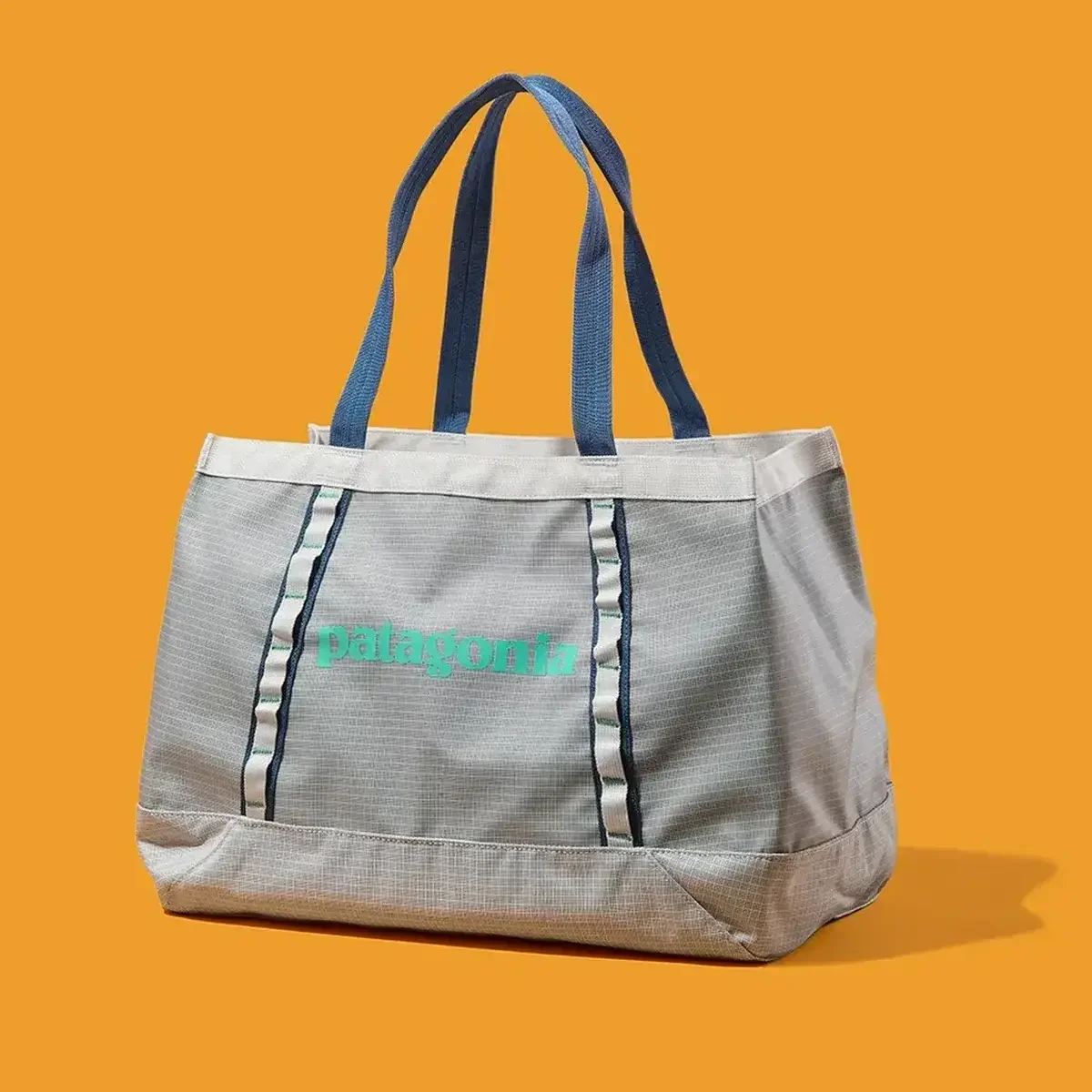 【大人のパタゴニア】リュック、トート、ミニバッグ。夏の「優秀バッグ」5選【Patagonia】