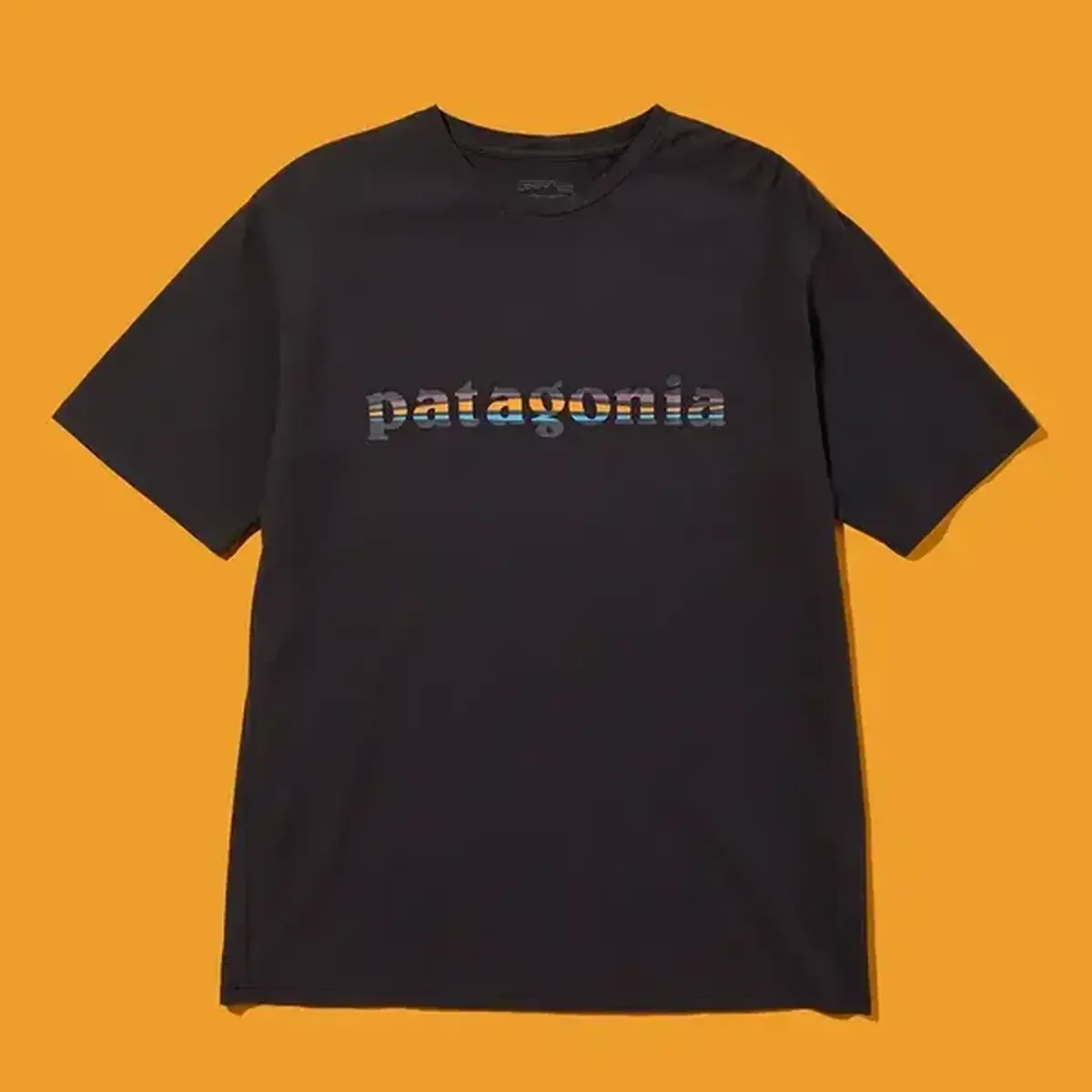 【大人の黒Tシャツ】パタゴニア、モンベル、ザ・ノース・フェイス。猛暑日も快適な5選【プレス激推し】