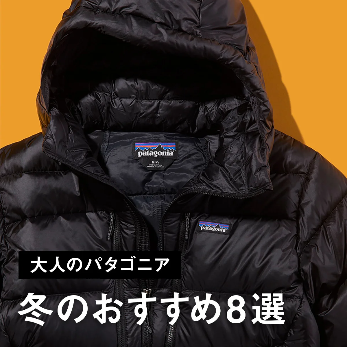 【大人のパタゴニア】冬のおすすめ8選。究極の黒ダウンに新定番の薄軽マイクロ・パフ・ジャケット、名品フリースの新柄も