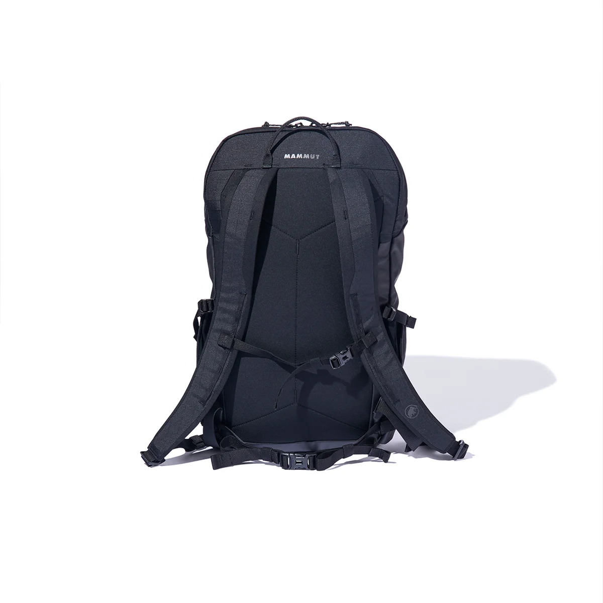 MAMMUT