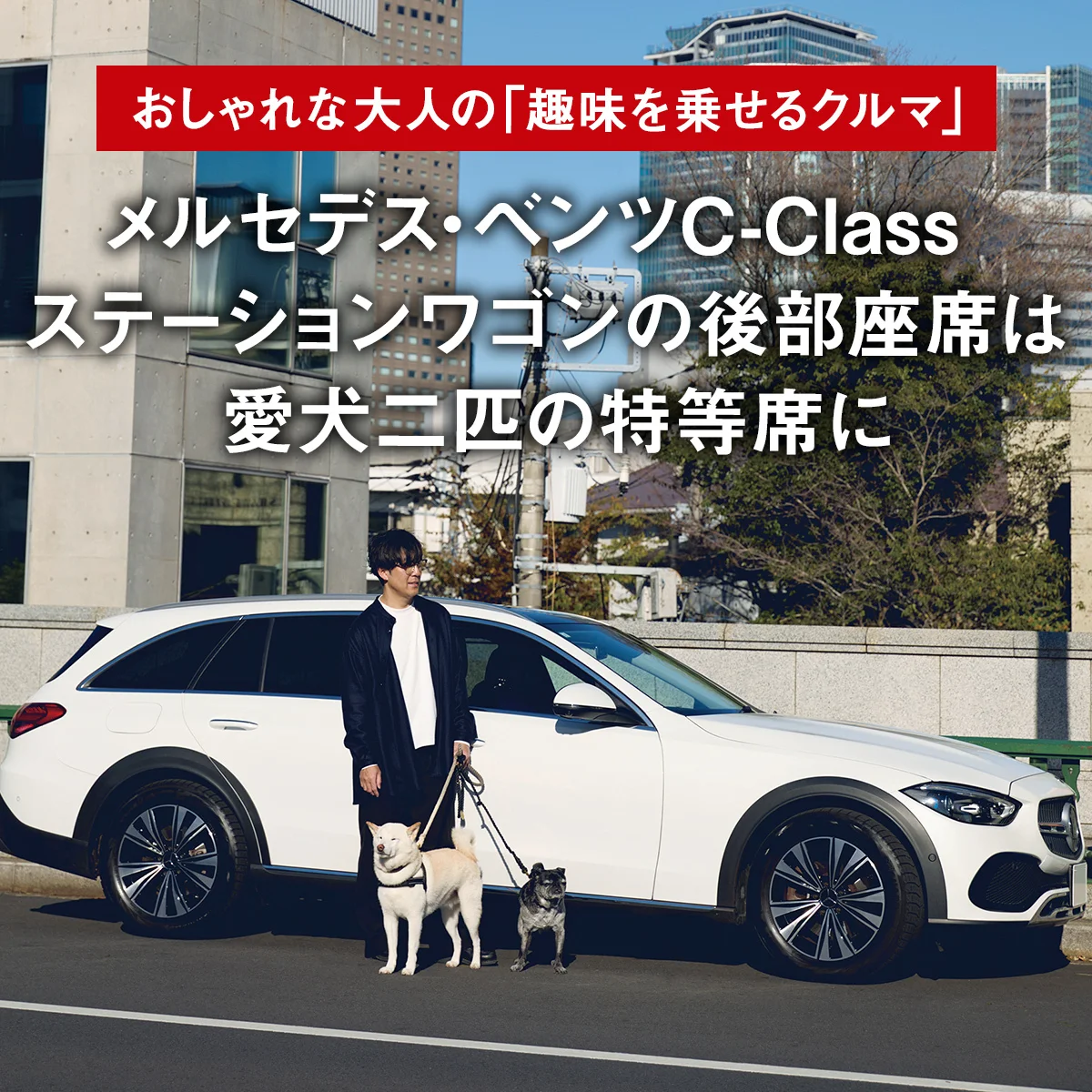 メルセデス・ベンツC-Classステーションワゴンの後部座席は愛犬二匹の特等席に【おしゃれな大人の「趣味を乗せるクルマ」】