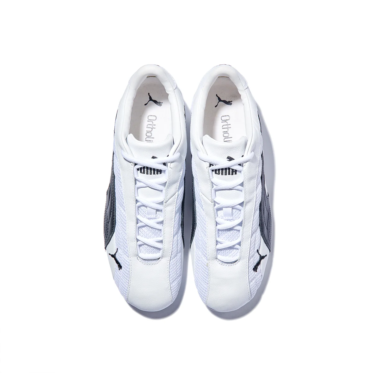 PUMA