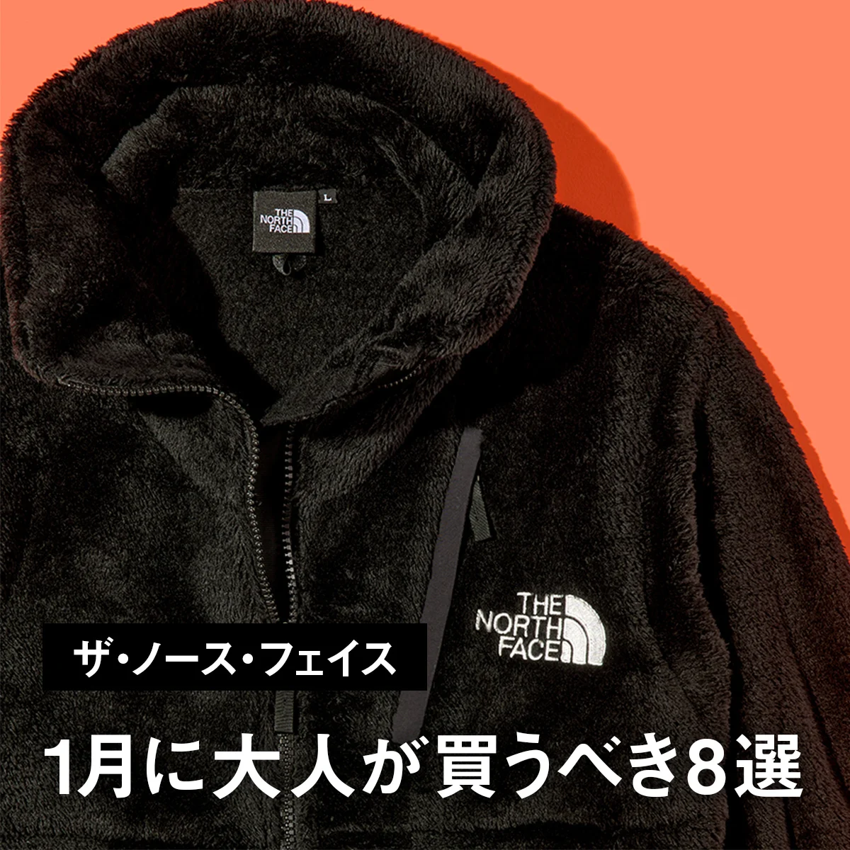 【ザ・ノース・フェイス】都会派ダウン、もふもふ黒フリース... 1月に大人が買うべき8選【THE NORTH FACE】