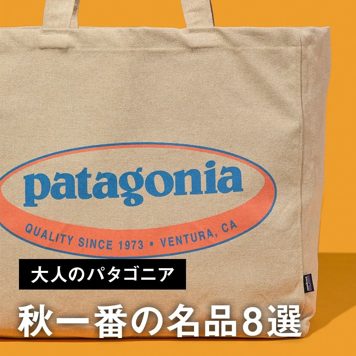 【大人のパタゴニア】秋一番の名品8選。機能性抜群のTシャツ、旅も通勤もOKのリュック、ビッグサイズのロゴトートバッグも