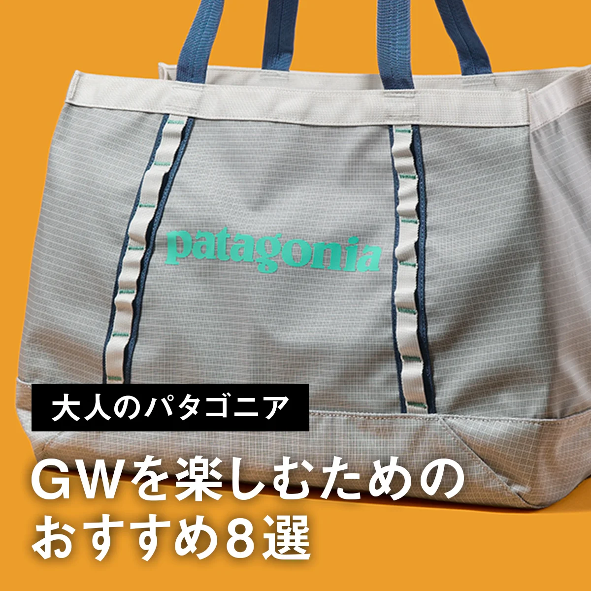 【大人のパタゴニア】GWを楽しむためのおすすめ8選。人気の「ブラックホール」トートバッグに黒リュック、天然素材の快適ウェアにも注目