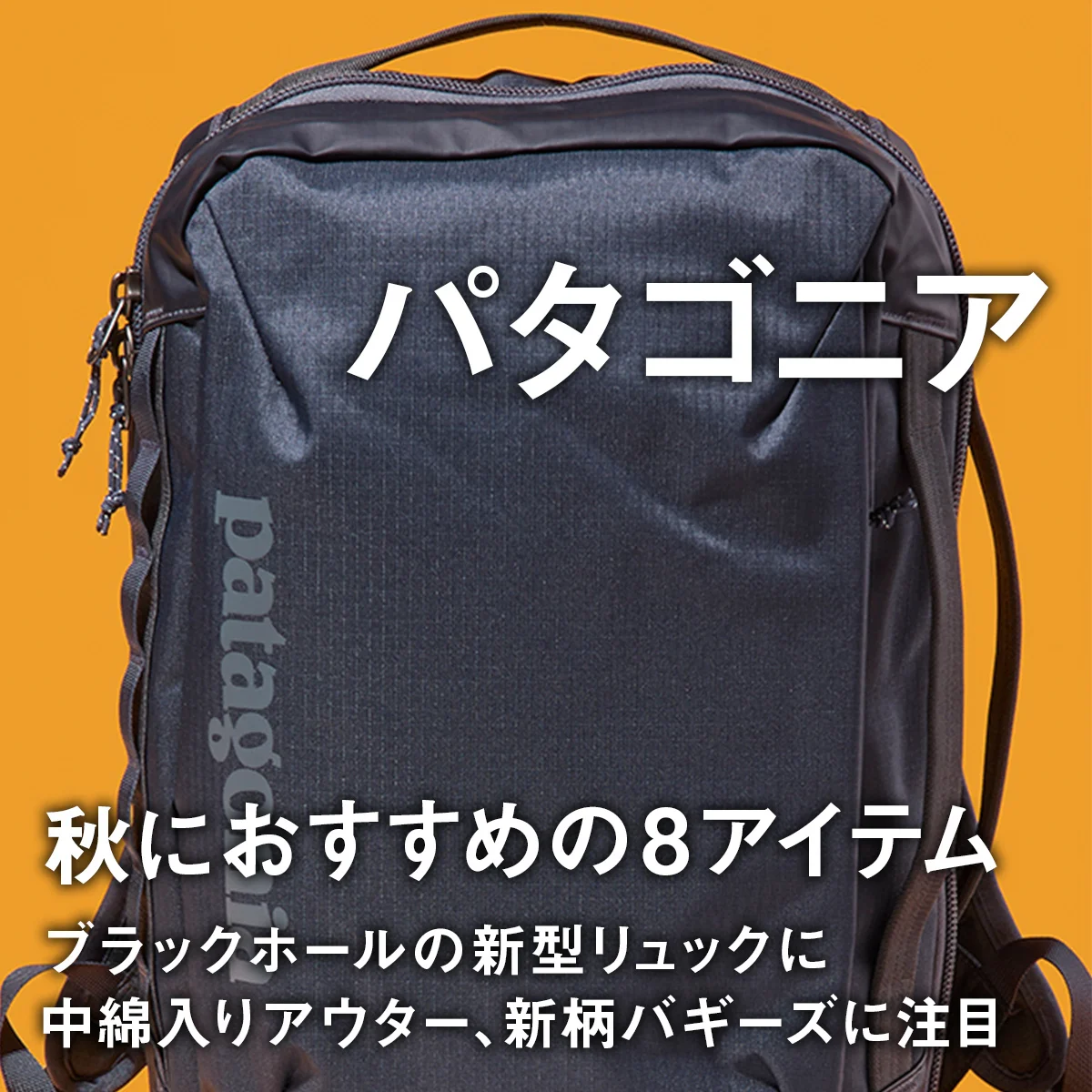 【大人のパタゴニア】秋におすすめの8選。ブラックホールの新型リュックに中綿入りアウター、新柄バギーズに注目